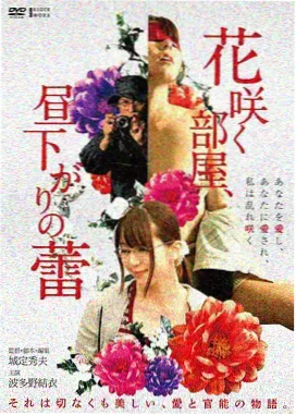 天府泰剧家庭题材剧集封面